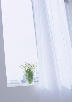 【2025年最新】伊勢崎市で叶える理想の注文住宅｜成功のためのポイントと選び方